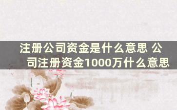 注册公司资金是什么意思 公司注册资金1000万什么意思